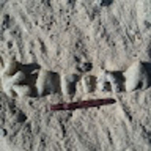 Meet your Posher, Karina m.